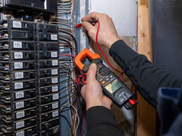 Best Electric Panel Repair  in Rainbow Park, FL